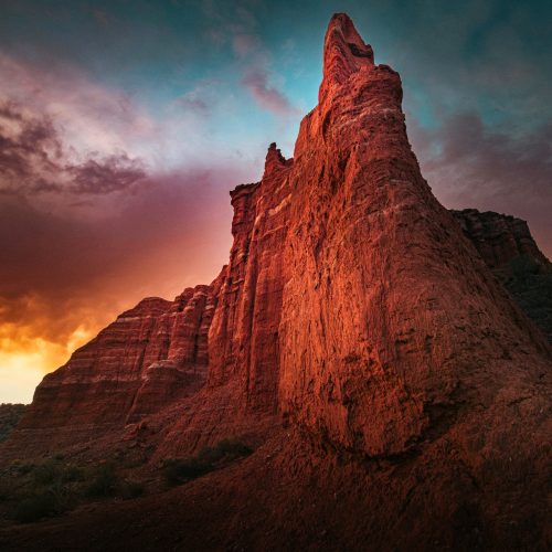 Landscape - The Sunset Sentinel - Nancy Rice - 1st Place